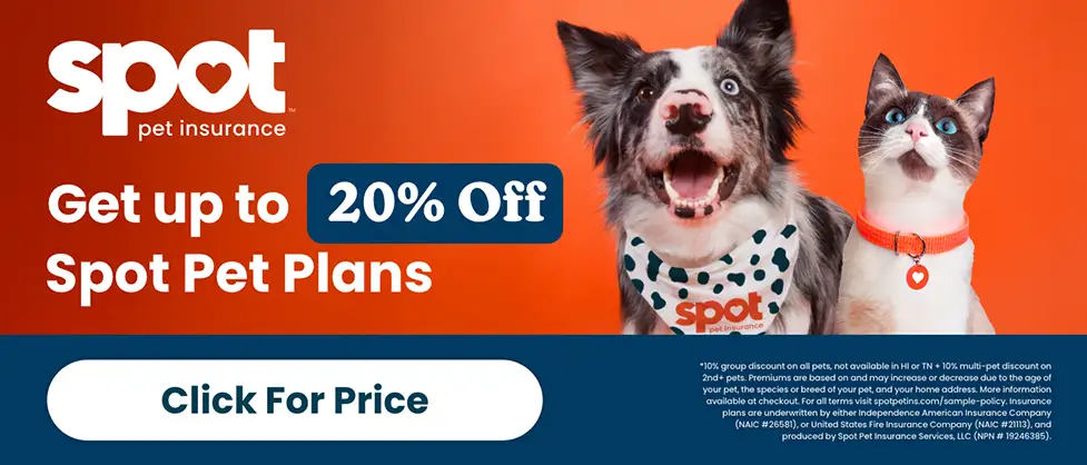 Spot pet insurance